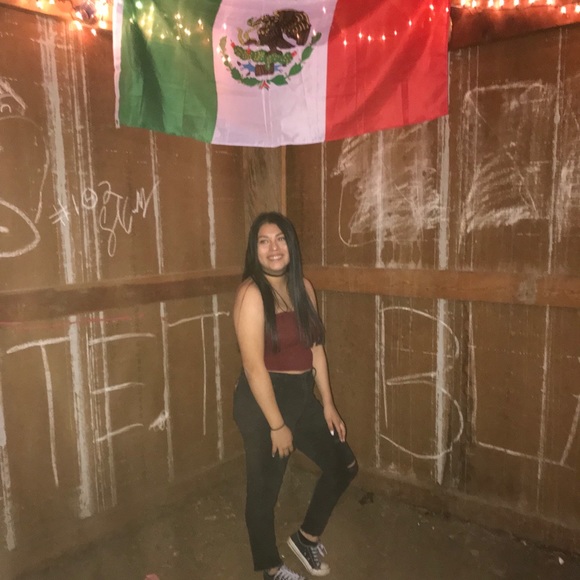 Meet your Posher, Rosa - Picture 1 of 1